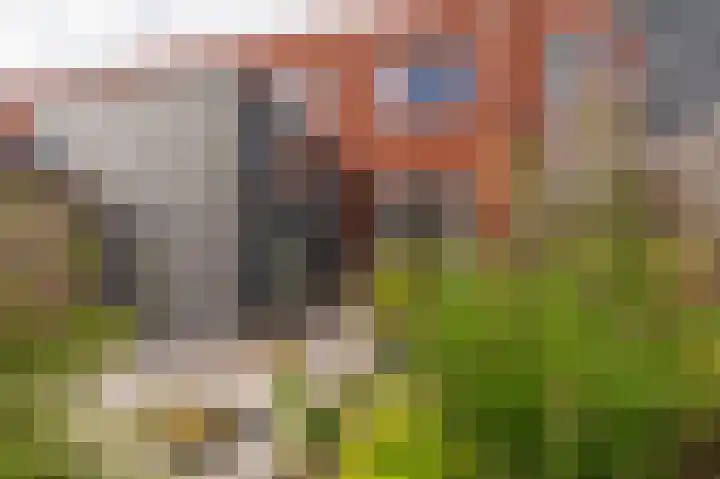 Ripperdastraat 33 Appingedam thumbnail 18
