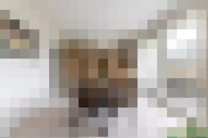 Ripperdaweg 6 Brielle thumbnail 12