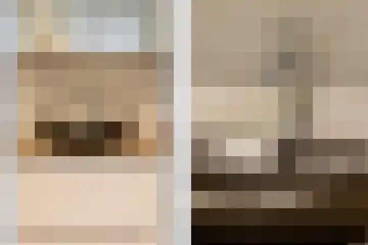 Ripperdaweg 6 Brielle thumbnail 23