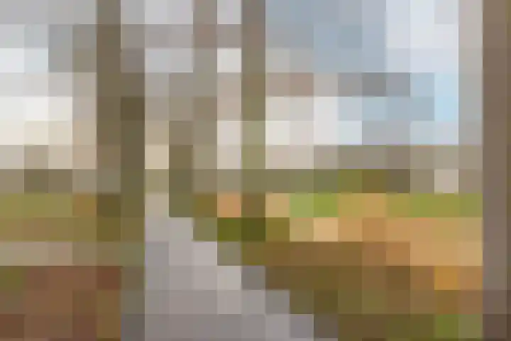 Ripperdaweg 6 Brielle thumbnail 28