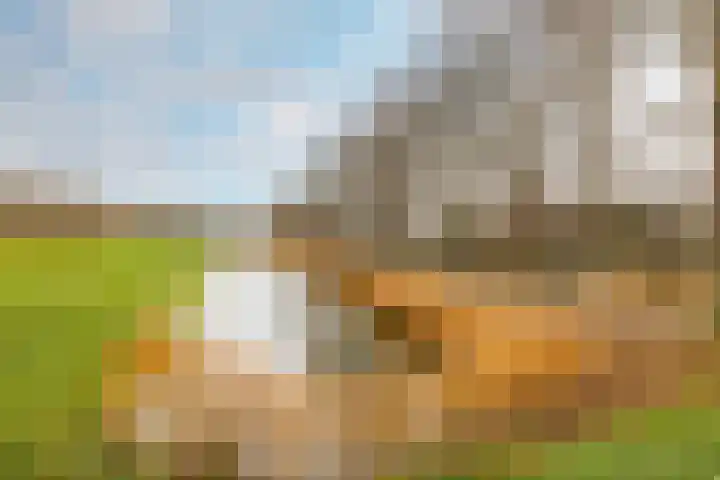 Ripperdaweg 6 Brielle thumbnail 30
