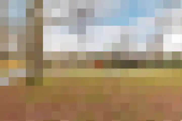 Ripperdaweg 6 Brielle thumbnail 31