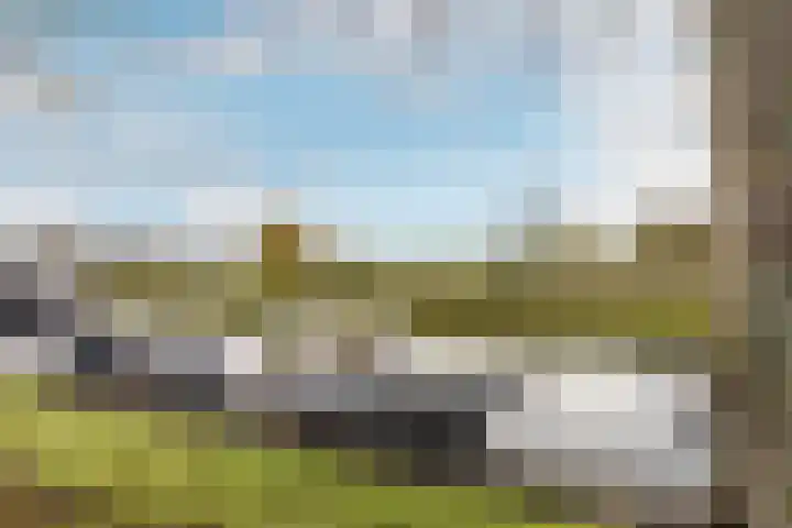 Ripperdaweg 6 Brielle thumbnail 33