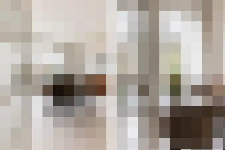 Ripperdaweg 6 Brielle thumbnail 8