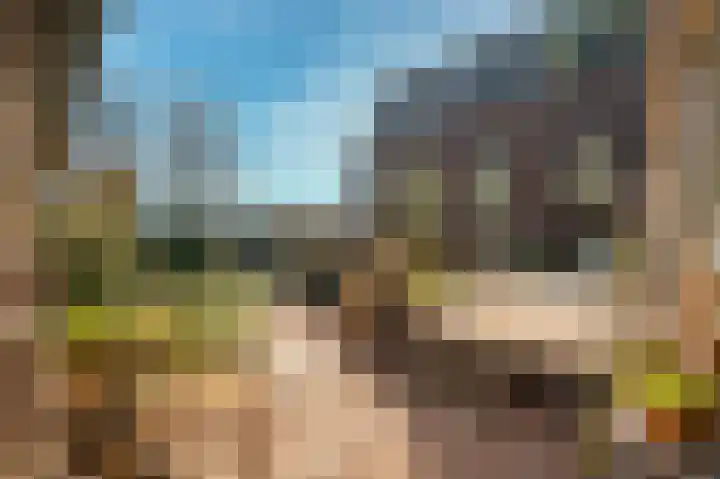 Rispinge 9 Minnertsga thumbnail 14