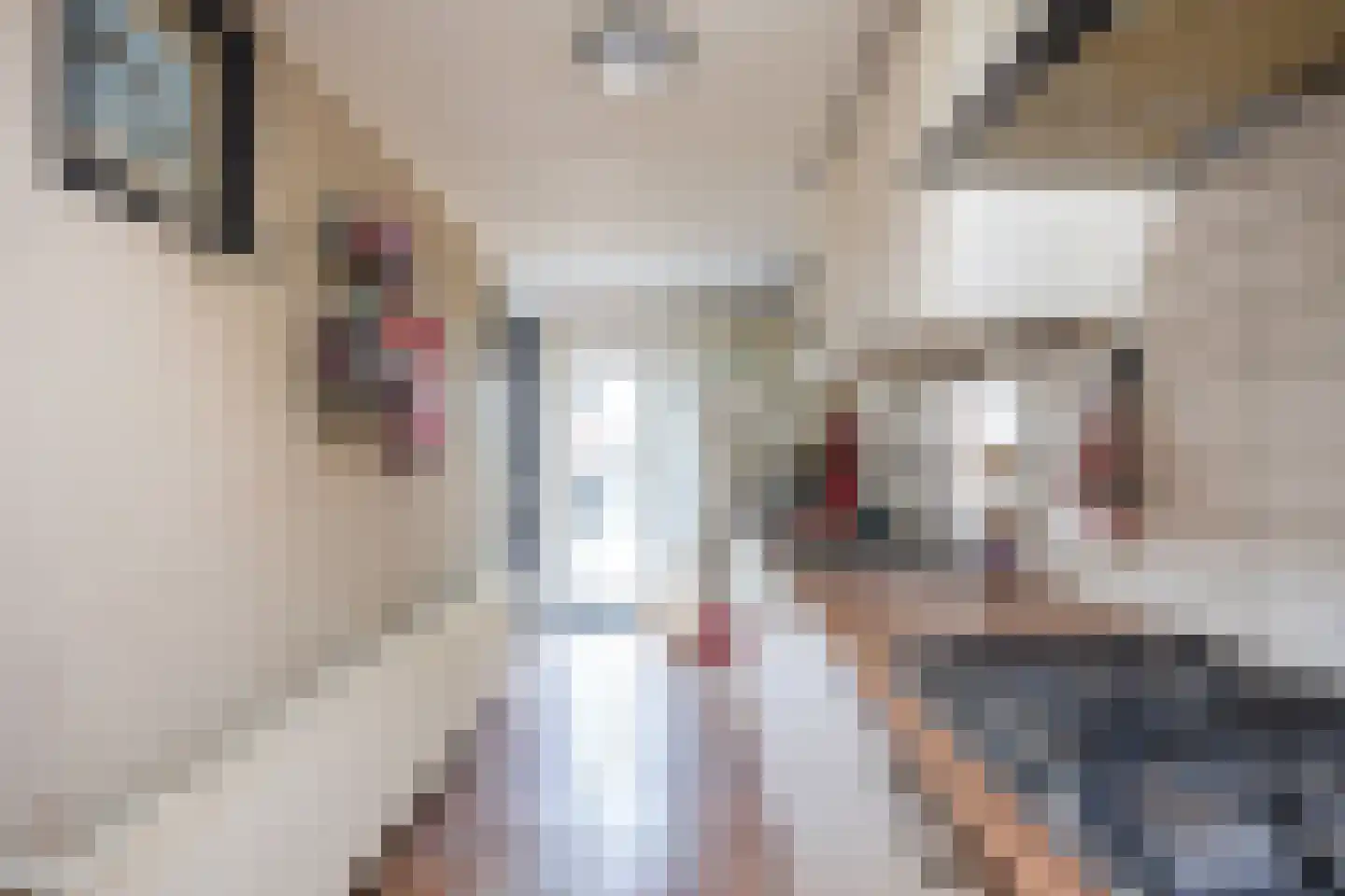 Rispinge 9 Minnertsga thumbnail 17