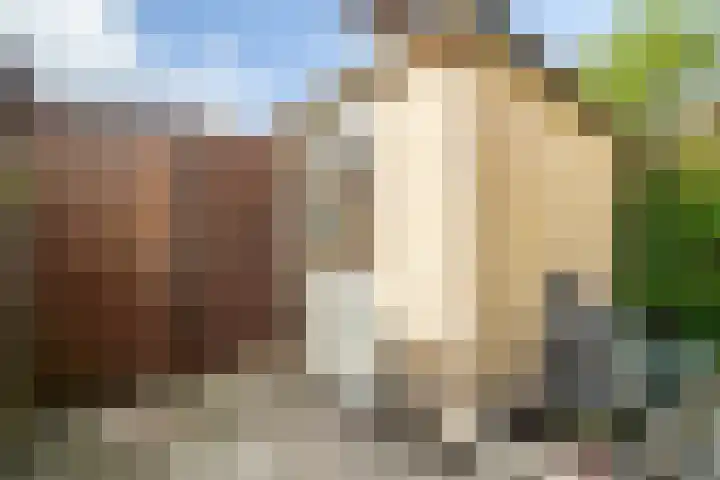 Rispinge 9 Minnertsga thumbnail 26