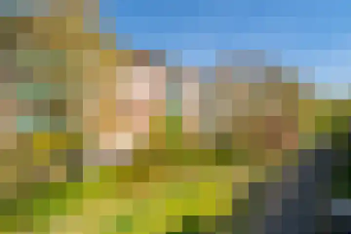 Rispinge 9 Minnertsga thumbnail 28