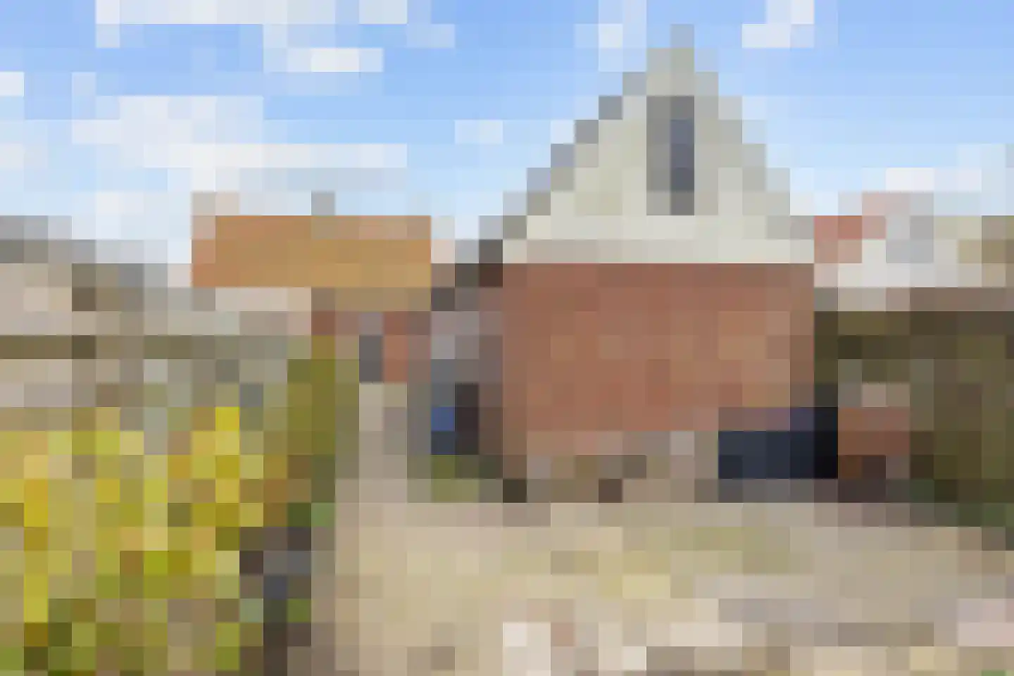 Rispinge 9 Minnertsga thumbnail 28