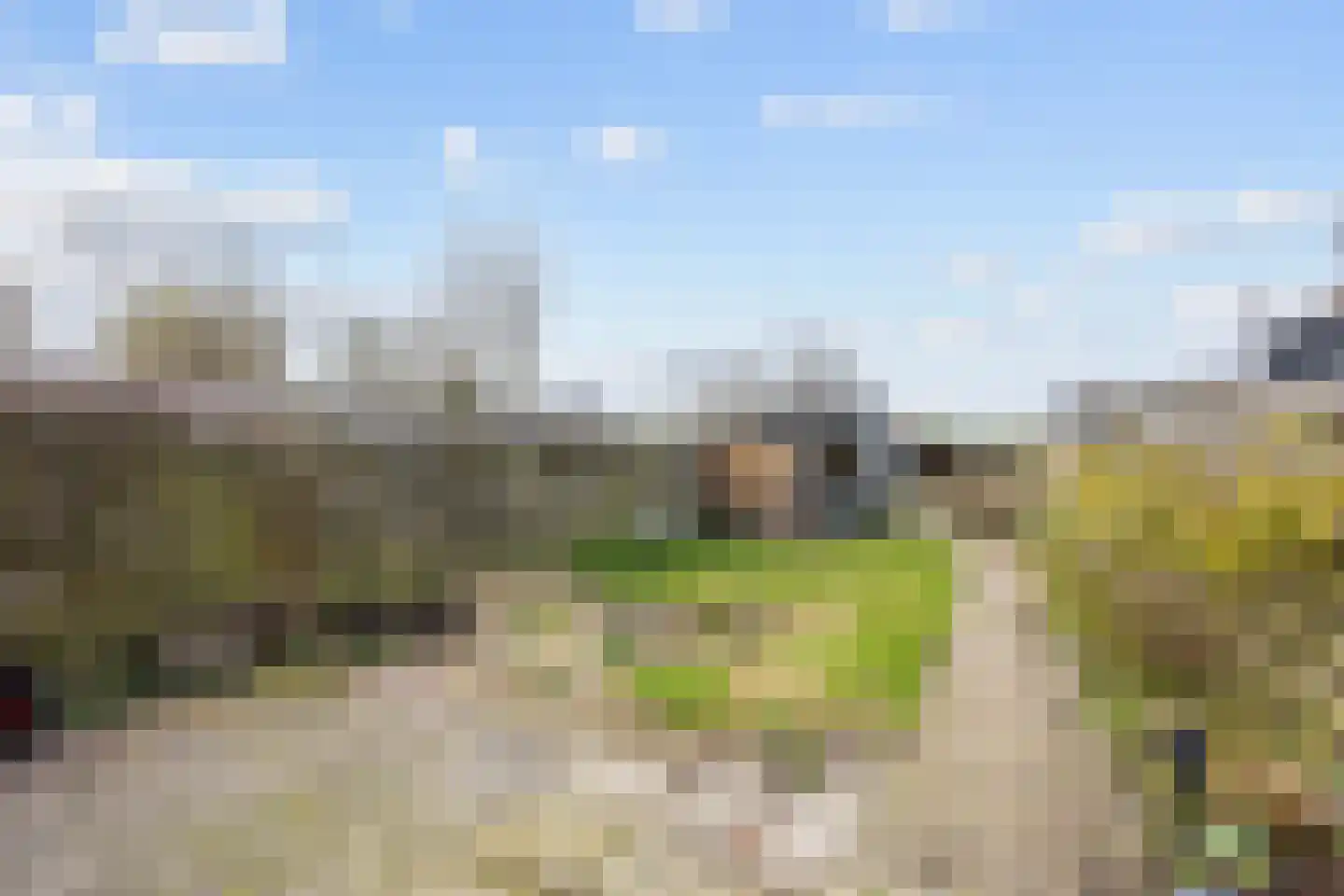 Rispinge 9 Minnertsga thumbnail 30