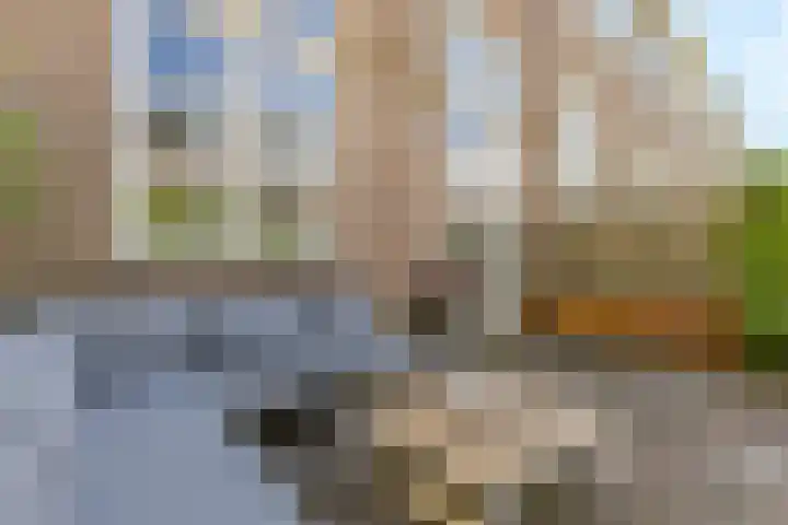 Ritmeesterstraat 11 Haarlem thumbnail 31