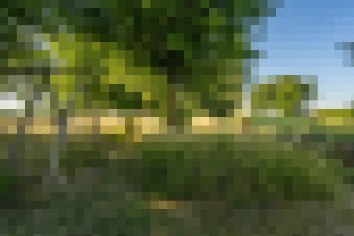 Ritselaarsdijk 10 Strijen thumbnail 16