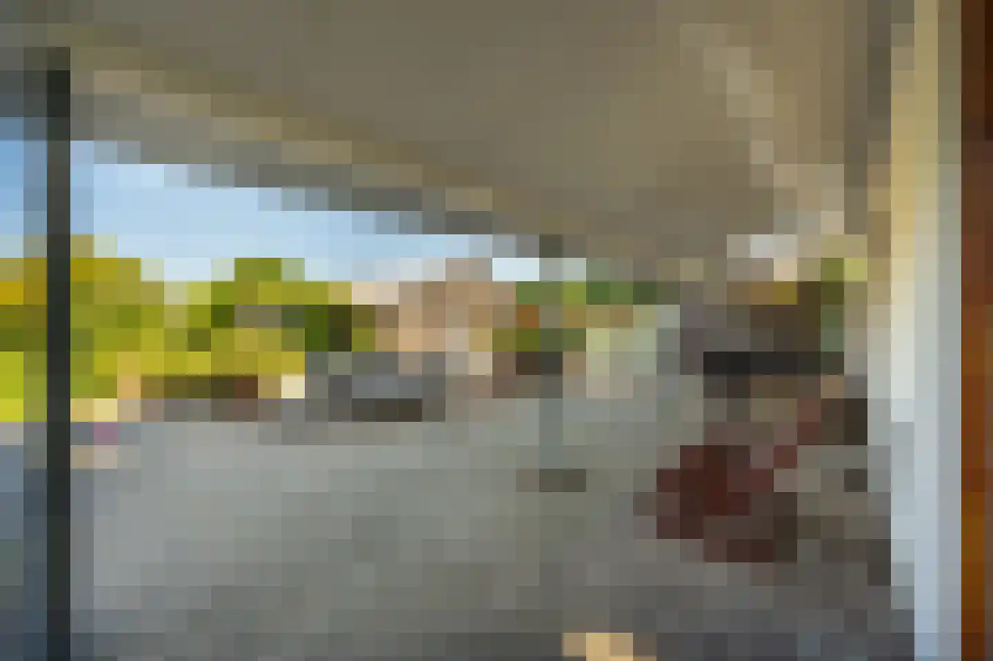 Ritselaarsdijk 10 Strijen thumbnail 20