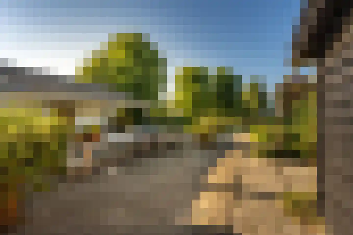 Ritselaarsdijk 10 Strijen thumbnail 22