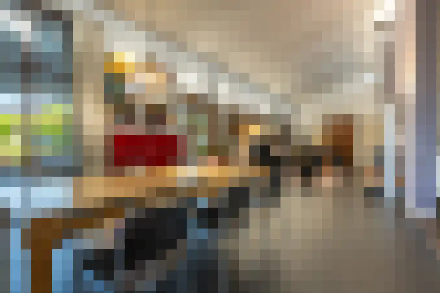 Ritselaarsdijk 10 Strijen thumbnail 26