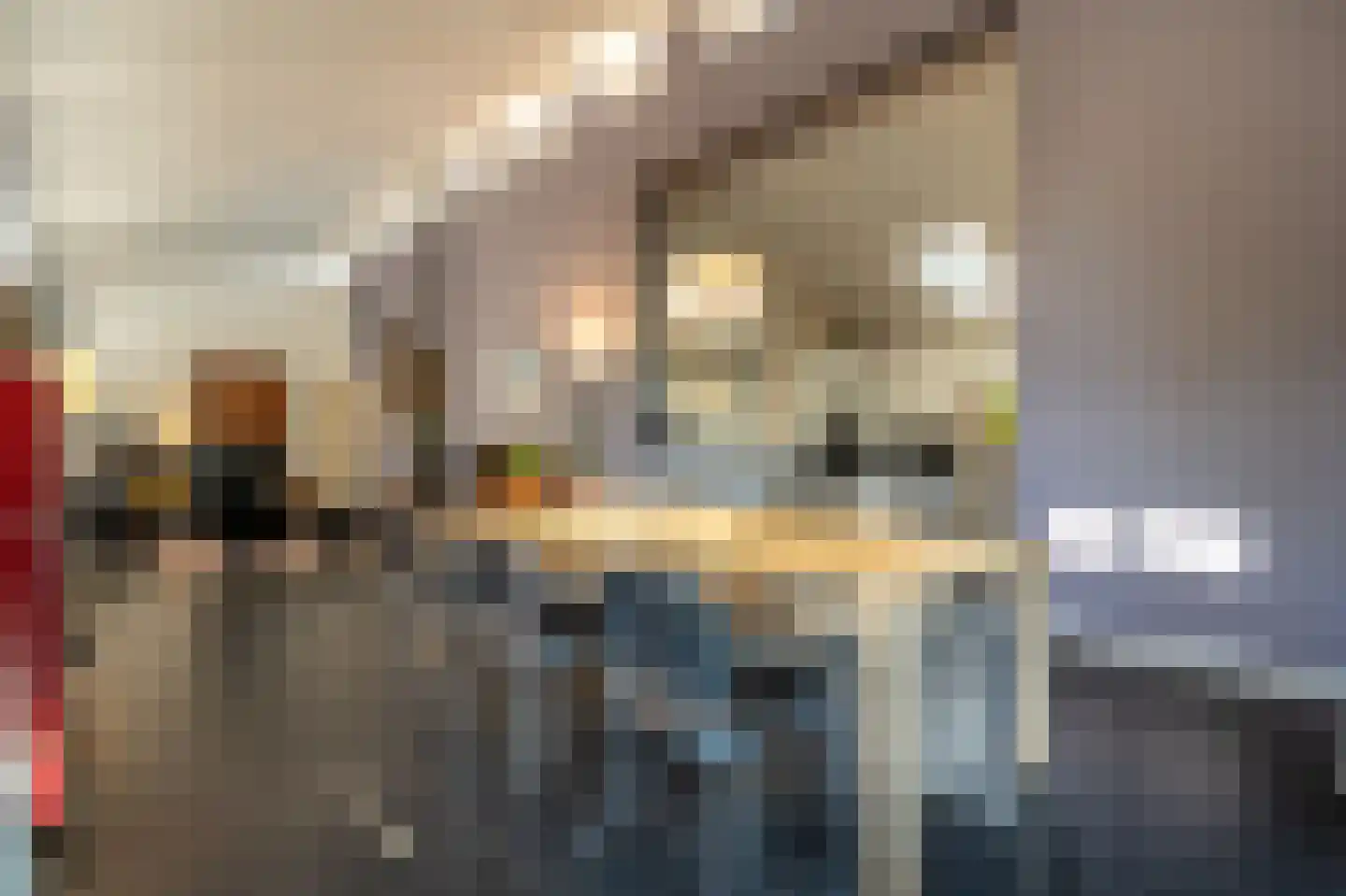 Ritselaarsdijk 10 Strijen thumbnail 27