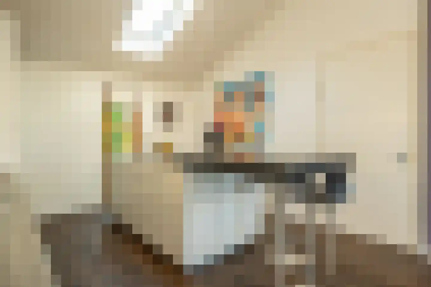 Ritselaarsdijk 10 Strijen thumbnail 34