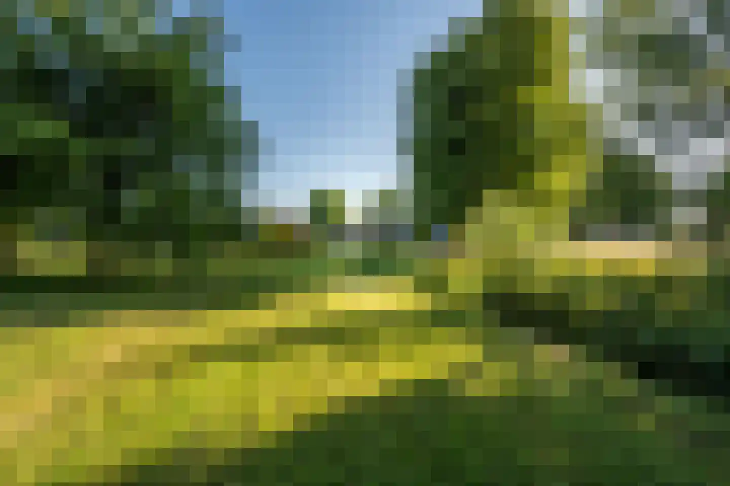 Ritselaarsdijk 10 Strijen thumbnail 4