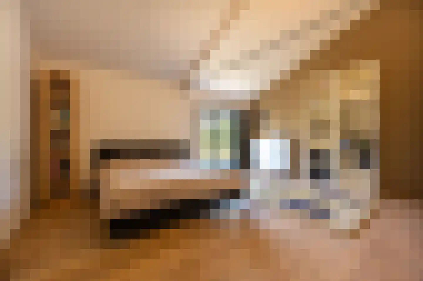Ritselaarsdijk 10 Strijen thumbnail 50