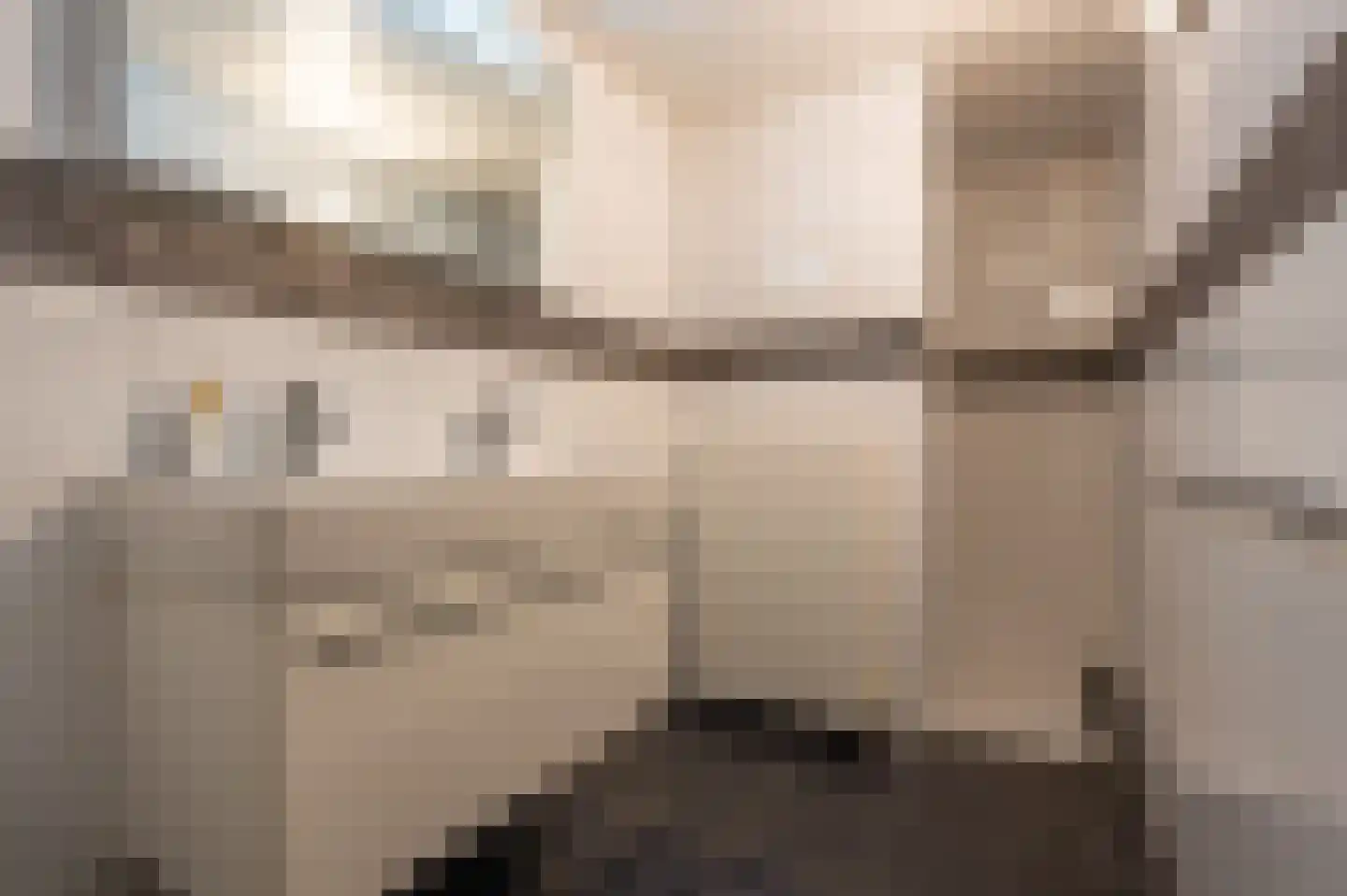 Ritselaarsdijk 10 Strijen thumbnail 54
