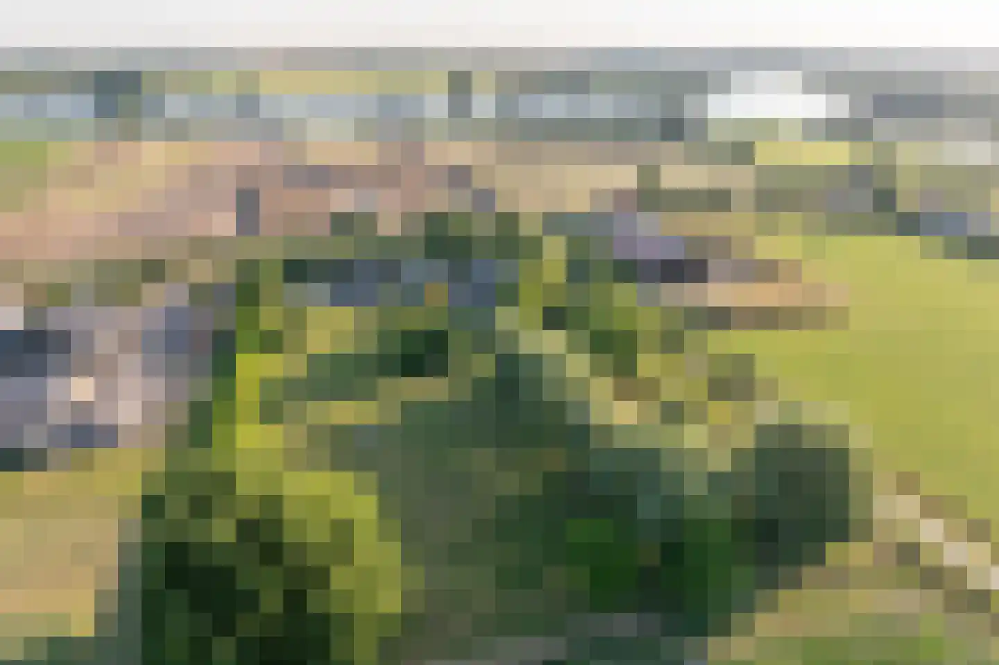 Ritselaarsdijk 10 Strijen thumbnail 6