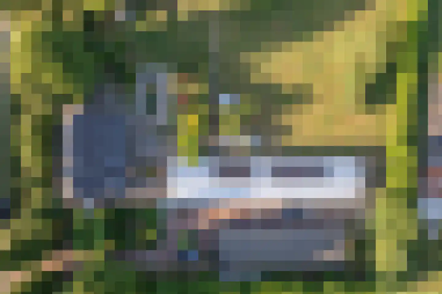 Ritselaarsdijk 10 Strijen thumbnail 63