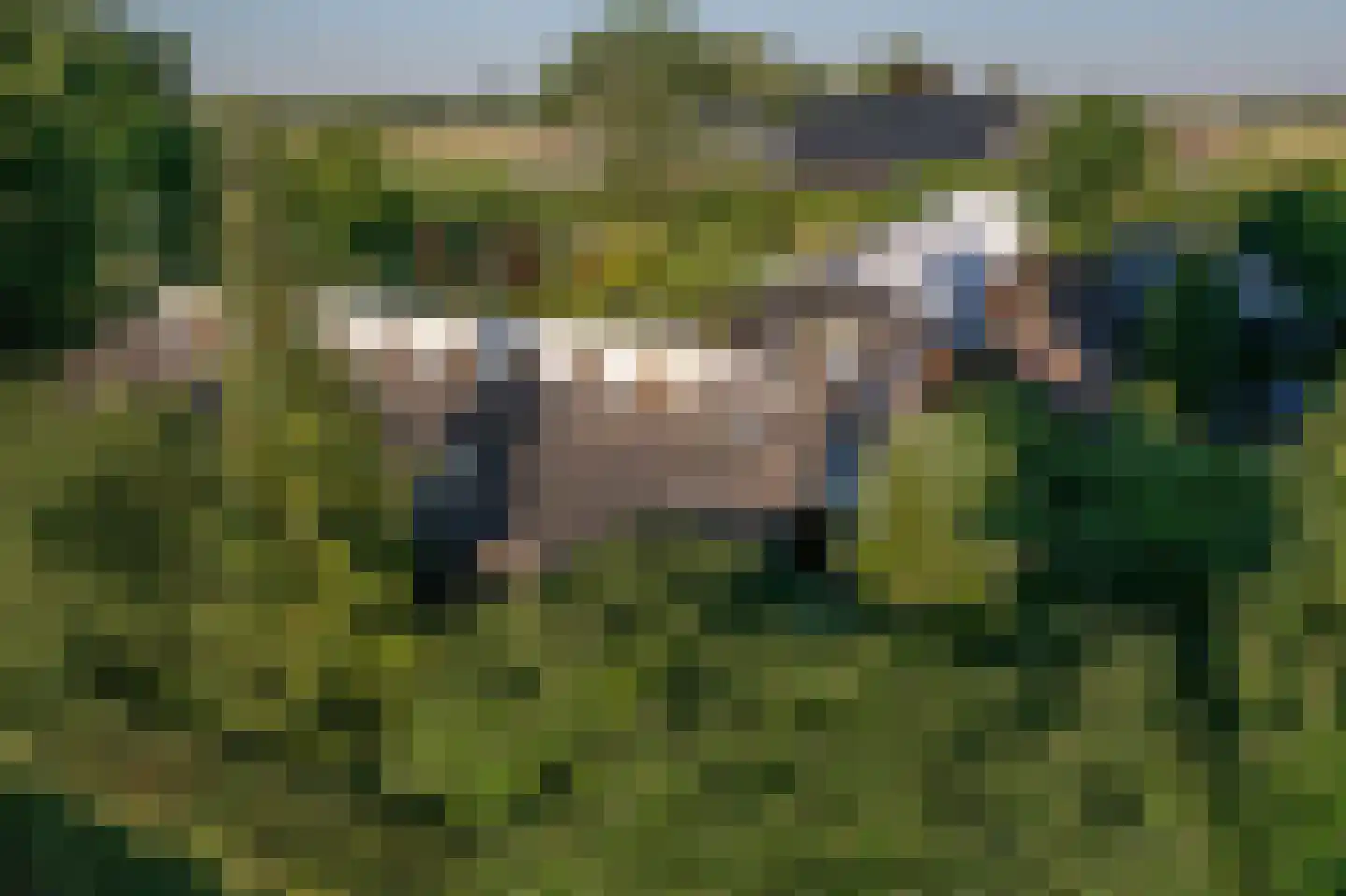 Ritselaarsdijk 10 Strijen thumbnail 65