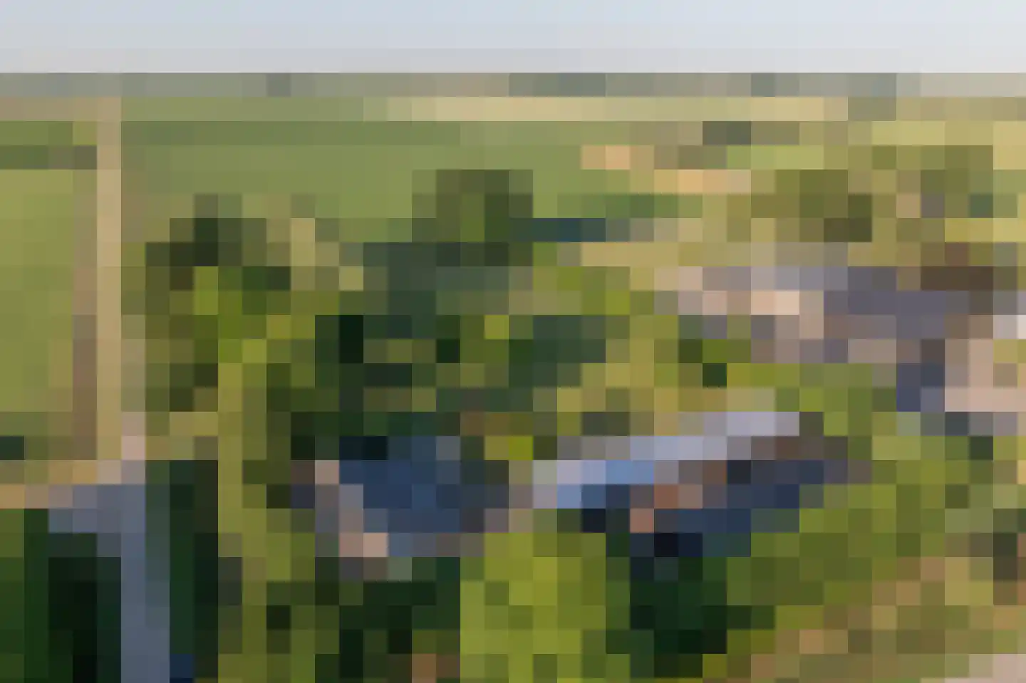 Ritselaarsdijk 10 Strijen thumbnail 7