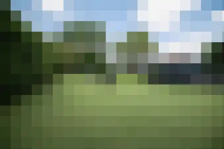 Rivierdijk 37 Hardinxveld-Giessendam thumbnail 28
