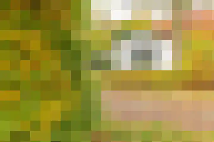 Rivierendal 28 Ochten thumbnail 29