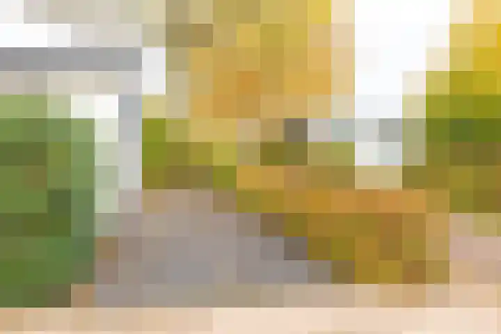 Rivierendal 28 Ochten thumbnail 38