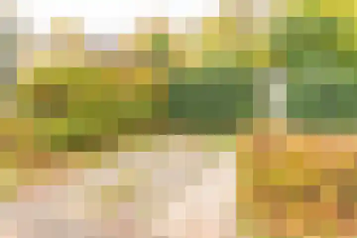 Rivierendal 28 Ochten thumbnail 39