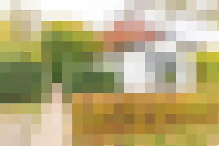 Rivierendal 28 Ochten thumbnail 4