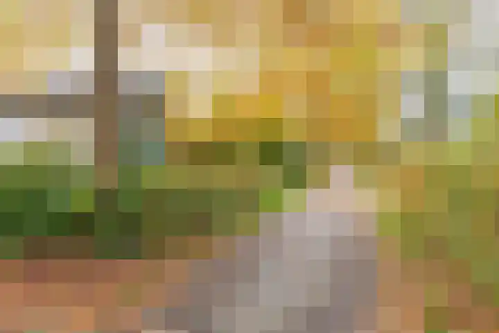 Rivierendal 28 Ochten thumbnail 41