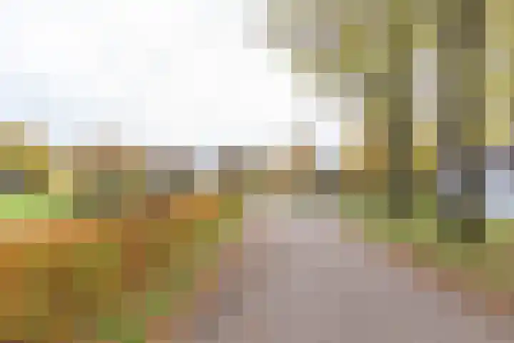 Rivierendal 28 Ochten thumbnail 42