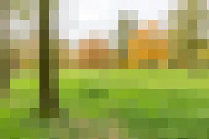 Rivierendal 28 Ochten thumbnail 43