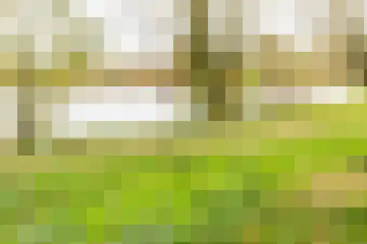 Rivierendal 28 Ochten thumbnail 44