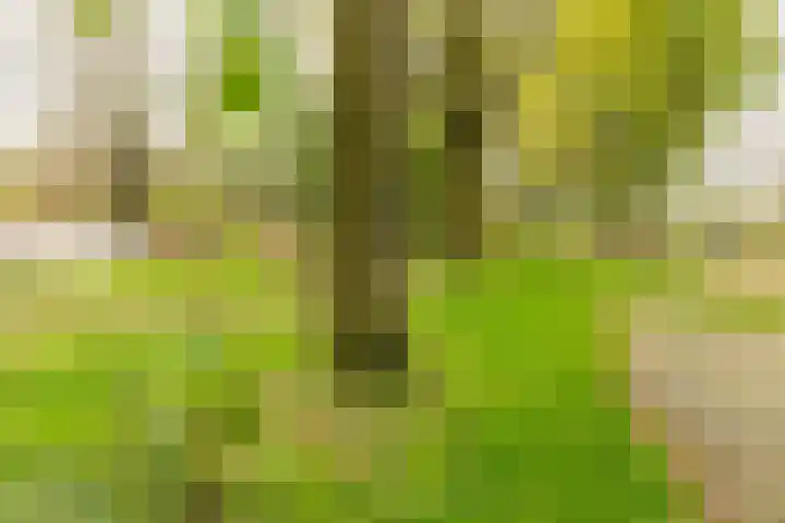 Rivierendal 28 Ochten thumbnail 45