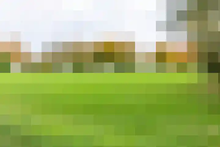 Rivierendal 28 Ochten thumbnail 46