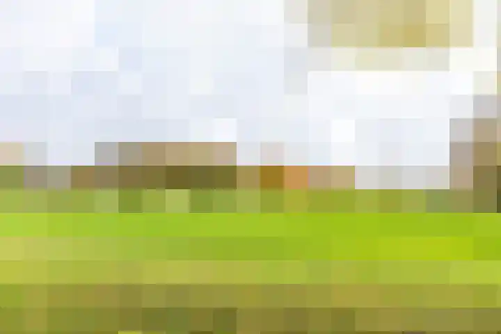 Rivierendal 28 Ochten thumbnail 47