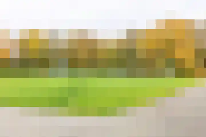 Rivierendal 28 Ochten thumbnail 48