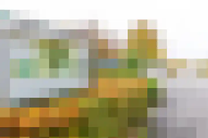 Rivierendal 28 Ochten thumbnail 53
