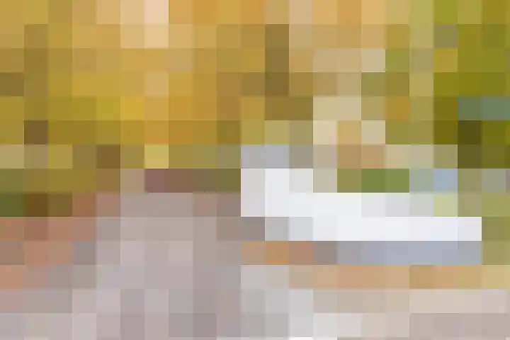 Rivierendal 28 Ochten thumbnail 55