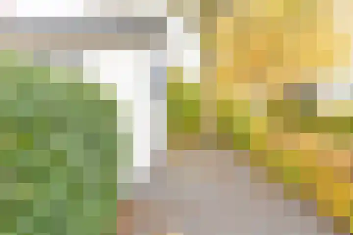 Rivierendal 28 Ochten thumbnail 8