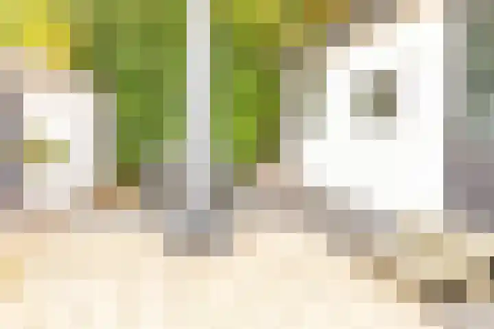 Rivierendal 28 Ochten thumbnail 9