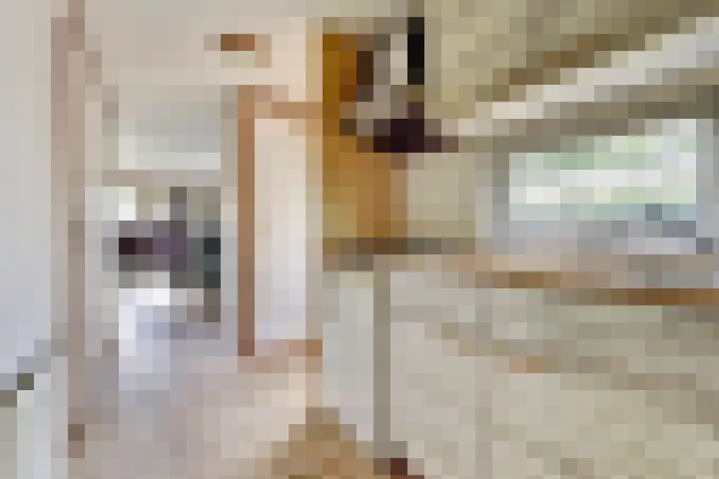 Rivierendal 30 Ochten thumbnail 10