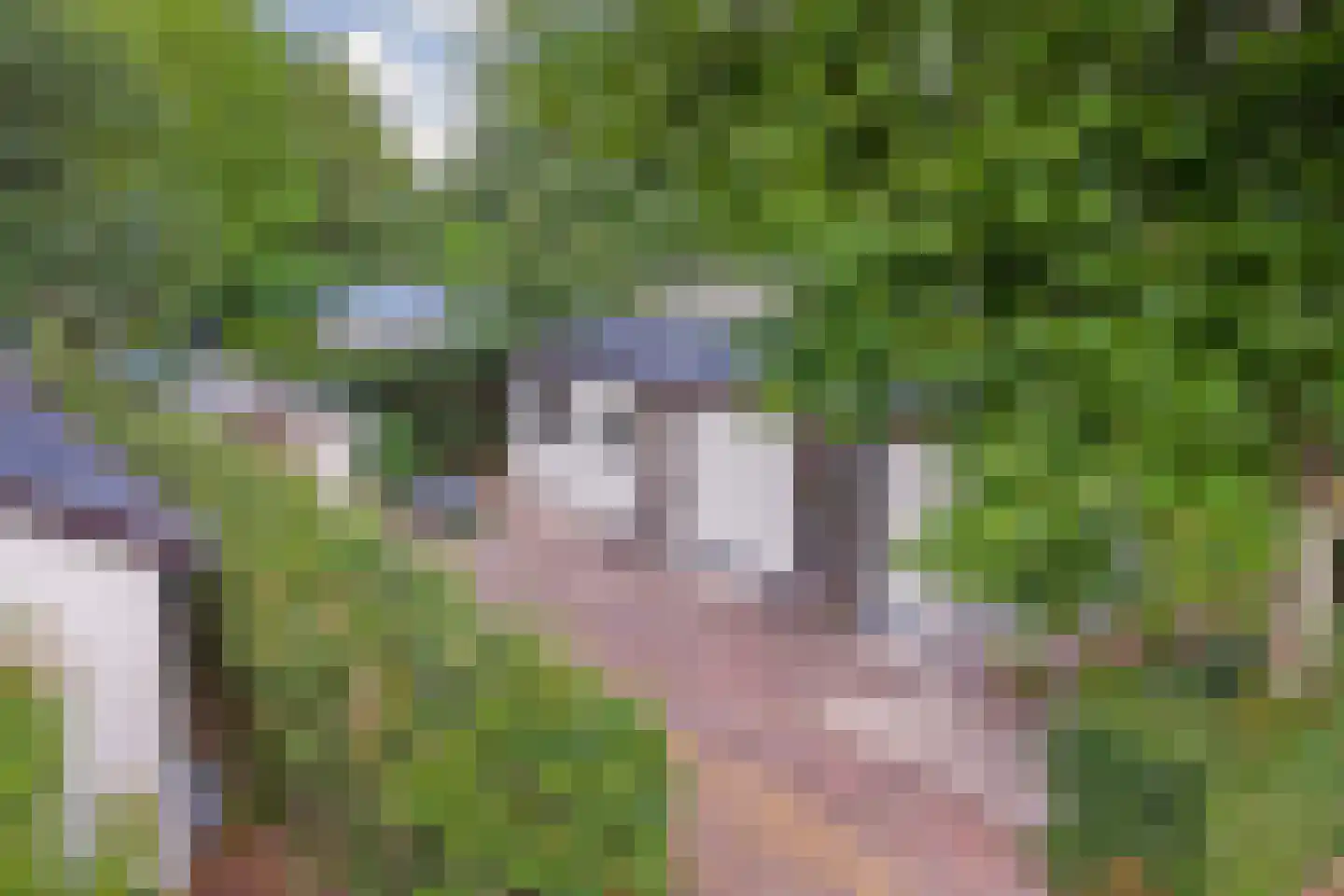 Rivierendal 30 Ochten thumbnail 30