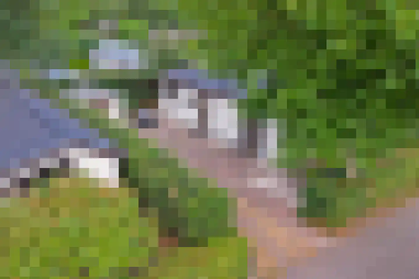 Rivierendal 30 Ochten thumbnail 31
