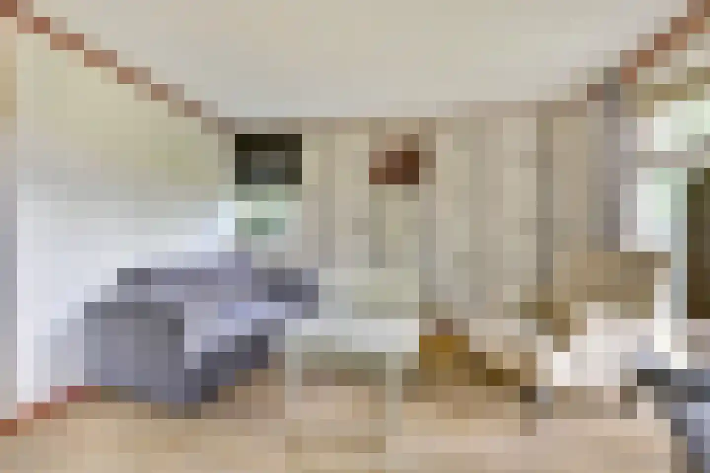 Rivierendal 30 Ochten thumbnail 4