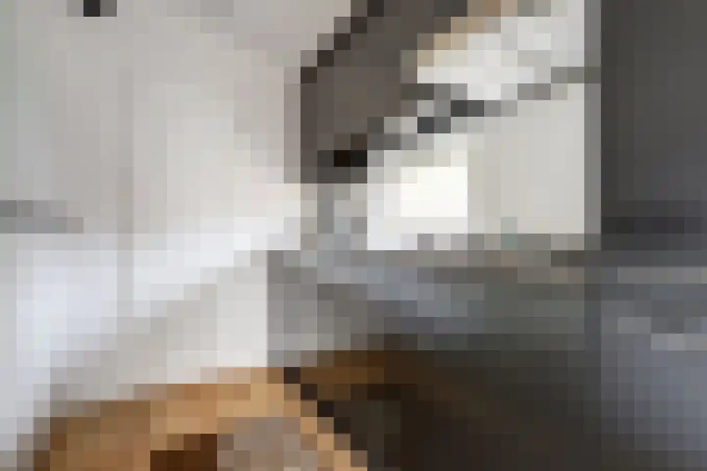 Rivierendal 52 Ochten thumbnail 14